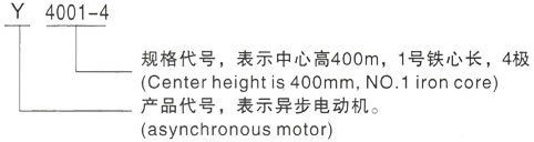 西安泰富西玛Y系列(H355-1000)高压YJTFKK5003-6-710KW三相异步电机型号说明